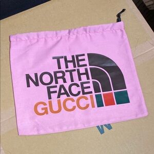 The North Face x Gucci Dust Bag
